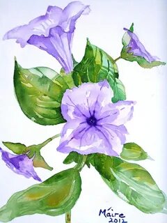 Petunia Flower Drawing - Nicolas Cage Fashion
