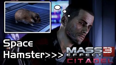 Mass Effect 3 - Citadel DLC - Space Hamster Safety ("Now It'