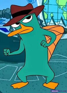 Perry the Platypus Phineas and ferb, Perry the platypus, Phi