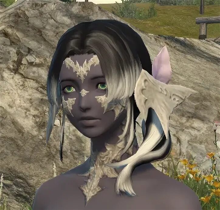 File:Hair adventure aura female.png - Final Fantasy XIV A Re