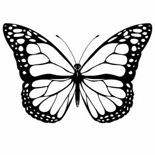 Pix For Mariposas Monarcas Para Colorear Butterfly clip art,
