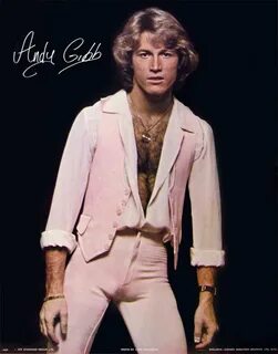 Andy Gibb - Wall Of Celebrities