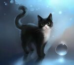 Черно белая кошка арт - 30 фото - картинки и рисунки: скачат
