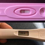 Faint Positive Dollar Tree Pregnancy Test - towinners