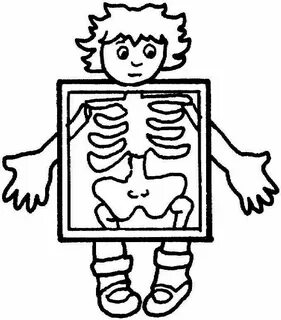 Human body coloring pages Preschool coloring pages, Coloring