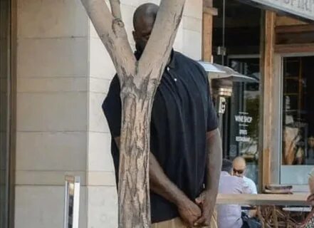 Meme Generator - Shaq hiding behind tree - Newfa Stuff