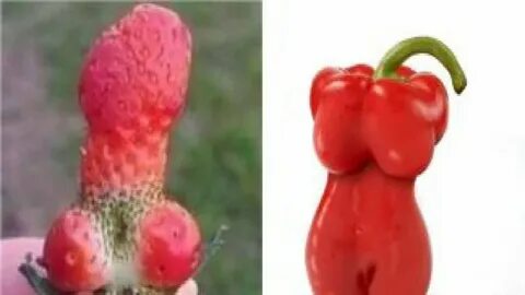 Top 5 Odd Shaped Looking Fruits & Vegetables You Ever Seen That Look Li...