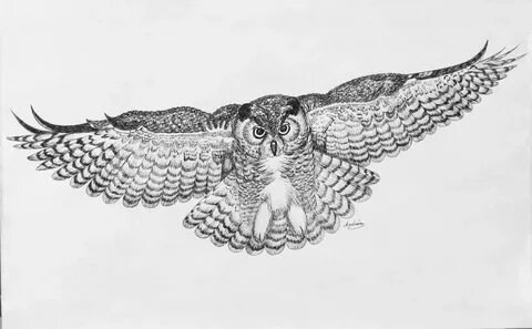 Owl In Flight by Carol Nistle Owl tattoo design, Owl tattoo 