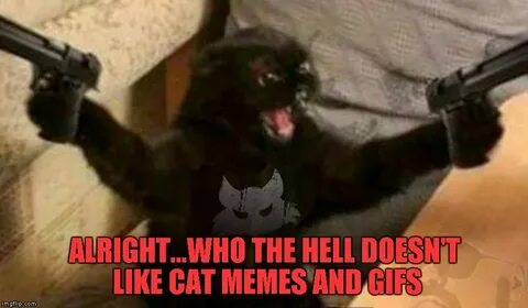 Cat With Guns Memes - Imgflip