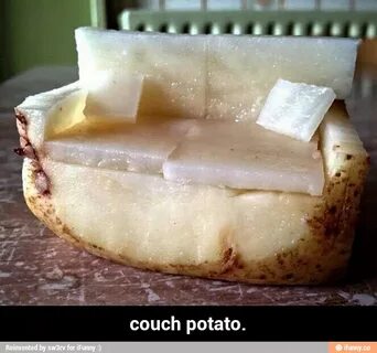 Couch potato. - couch potato.