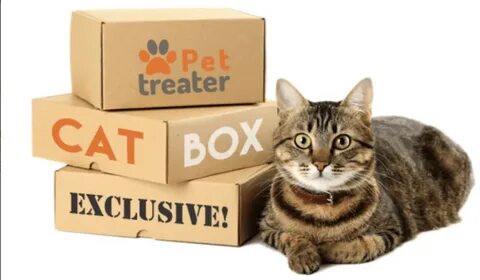 best cat subscription box