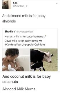 A $H and Almond Milk Is for Baby Almonds Shadia v PrettyEthi