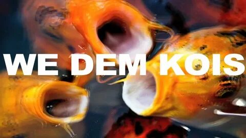 We Dem Kois "Official Music Video" (Parody of We Dem Boyz) -