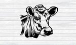 Free Svg Files For Cricut Cow - 234+ SVG File for Cricut