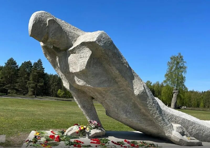 Природа Латвия Даугава Саласпилс