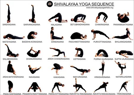 Shivalayaa Yoga Shala Yoga Teacher Training in Himalayas Net