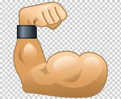 Bicep clipart bicept, Picture #2300472 bicep clipart bicept