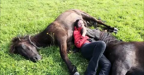 Woman Shows Off Her Bond With 2 Horses. When She Did THIS? I