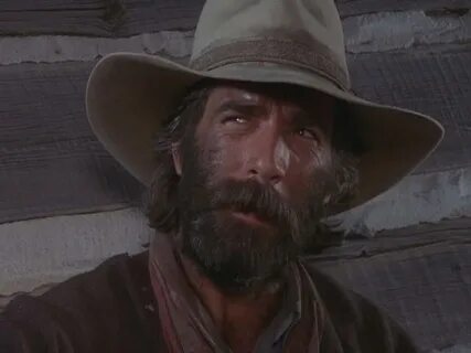 "The Sacketts" (1979) - Westerns Image (27982855) - Fanpop