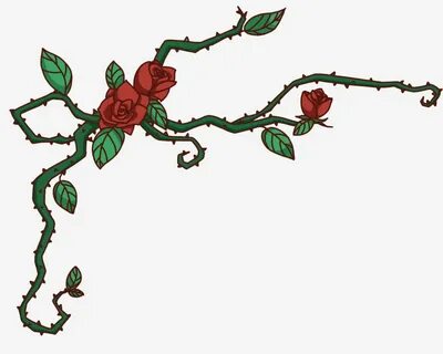 Red Rose Vine Illustration, Red Rose, Flower Vine Illustrati