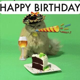 Birthday wishes: Happy Birthday GIF celebrating cat ZANIMLJI