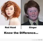 Red-head FTW!! Ginger meme, Redheads, Funny meme pictures