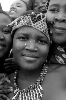 south africa - zulu reed dance ceremony Zulu Reed Dance Ce. 