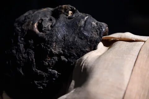 File:Ahmose Mummy at Luxor Museum in Luxor Egypt.jpg - Wikim