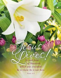 Let Us Rejoice Jesus Lives Package of 100 Easter Bulletin NK