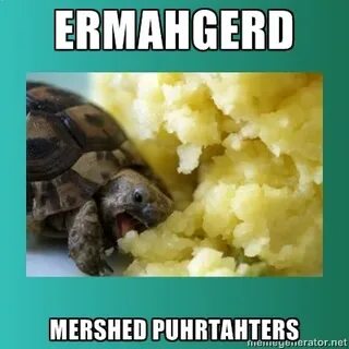 ERMAHGERD! I just pinned this cuz of the turtle I never pin 