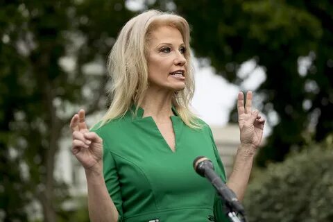 Kellyanne Conway defends Trump's use of 'kung flu,' months after calling term 'h