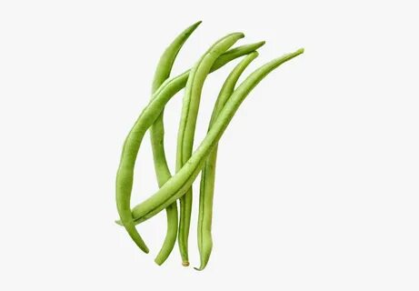 Green Beans Png Free Image - Garden Beans Clipart, Transpare