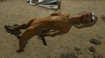 Fallout 4 Rape Porn - Porn photos for free, Watch sex photos