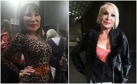 "Bellas de noche" vuelven a ayudar a Wanda Seux