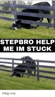 STEPBRO HELP ME IM STUCK Help Me Help Meme on ME.ME