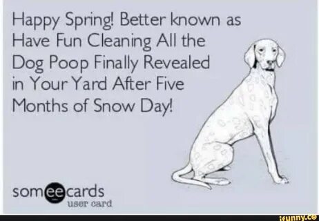 Happy Spring! Better known as Have Fun Cleaning All the Dog Poop Finally Reveale