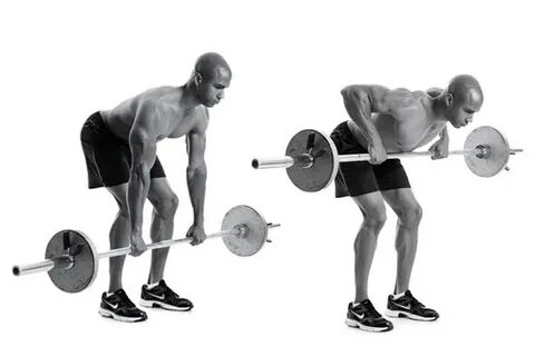 5 Basic Exercises To Grow Muscles And Increase Testosterone