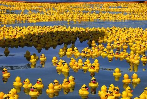 The Story Of The 28,000 Rubber Duckies Lost At Sea