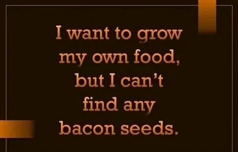 Pin by Sharon Chapman on BACON!!!! Bacon seeds, Bacon memes,