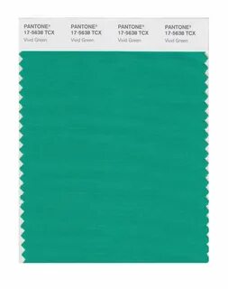 BUY Pantone Cotton Swatch 17-5638 Vivid Green