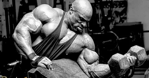 Ronnie Coleman Workout Program and Spreadsheet For King-Size
