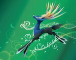 Free download Xerneas HD Wallpapers 1920x1080 for your Deskt