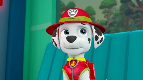 Marshall - PAW Patrol litrato (40263274) - Fanpop