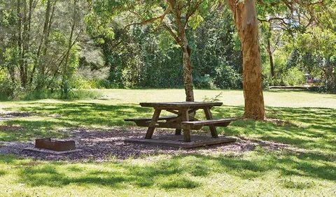 Station Creek campground NSW National Parks