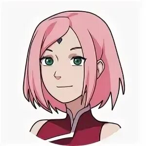 characters:sakura Kunoichi Trainer WIKI