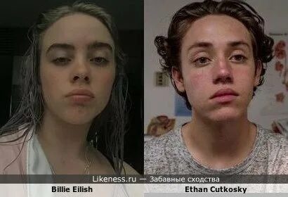 Billie Eilish напоминает Ethan Cutkosky :: Забавные сходства