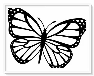 Los más lindos dibujos de MARIPOSAS para colorear y pintar a