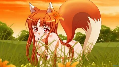 Wallpaper : illustration, anime, Holo, Spice and Wolf, Okami