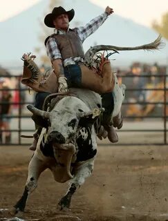 el18_bullriding_S1 Bull riding, Pbr bull riding, Bull riders