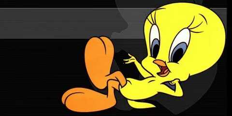 Everyone's favourite innocent little yellow bird - Tweety Cu
